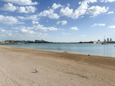 a bird standing on a beach near the water at LUX Seaview Studio - Beach Access in Dubai