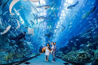 a group of people standing in front of an aquarium at Rove Downtown in Dubai
