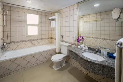 a bathroom with a sink and a toilet and a bath tub at Savoy Crest Hotel Apartments in Dubai