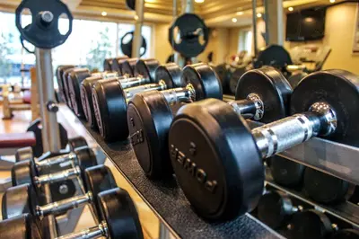 a row of dumbbells are lined up in a gym at Dunes Hotel Apartment Oud Metha, Bur Dubai in Dubai
