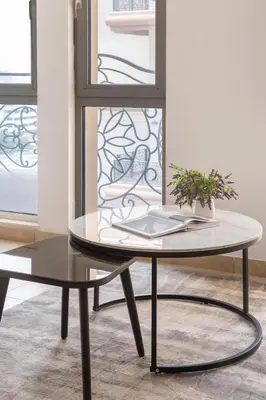 a coffee table with a plant on top of it at Frank Porter - Canal Residence in Dubai