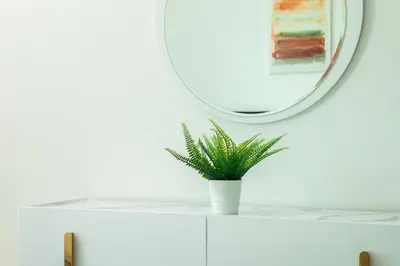 a plant sitting on a white shelf in front of a mirror at Dreamy and Spacious 3BR Unique Palm Jumeirah in Dubai