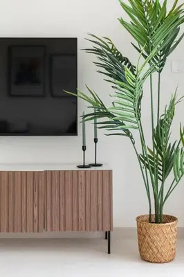 a potted plant sitting in front of a tv at Frank Porter - Park Ridge C in Dubai