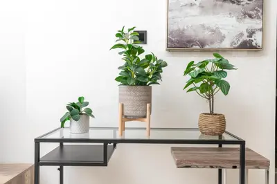a glass table with two potted plants and a chair at White Sage - Elegant Apartment With Unobstructed City Views in Dubai