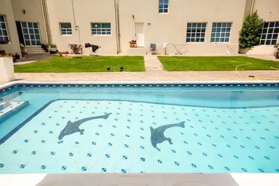 two dolphins swimming in a swimming pool at Comfortable Private Rooms in Compound Housing in Dubai