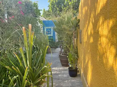 a garden with potted plants and a yellow wall at Tropicana Guestroom 7 min walk from the beach in Dubai