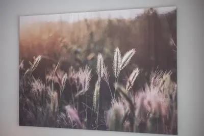 a picture of a field of tall grass at Central studio in The Greens 10min to MetroStation in Dubai