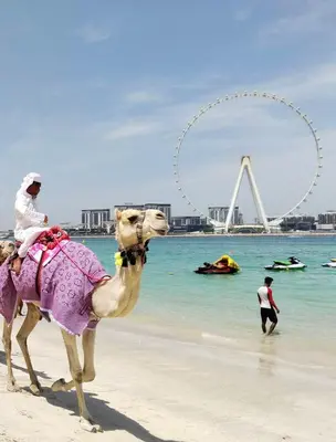 a person riding a camel on the beach at Ultimate Stay 2BR Sea View at JBR Beach Ain Dubai High Floor Luxury Stay in Dubai