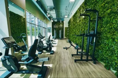 a gym with exercise bikes and a green wall at a chilled place in Dubai