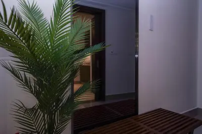 a green palm tree in front of a mirror at Majestay - Luxury Living in Dubai