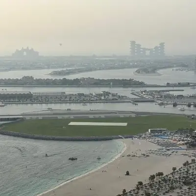 Fabulous Palm View