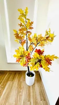 a plant with autumn leaves in a white pot at Stylish 1 BR with sea view - Sunset view in Dubai