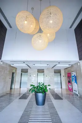 a potted plant in the middle of a hallway with lights at Unique 1BR Apartment in Sport City in Dubai