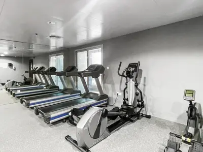 a row of exercise bikes in a gym at StoneTree - Marina Diamond Studio - Near Metro Station in Dubai